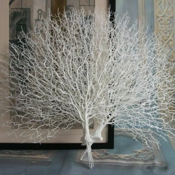 Faux Coral Fan Pick Prop - Five Pieces (5) - Decor - Picture 6 of 6